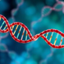 Choroby autosomalne: rodzaje, dziedziczenie i przykłady