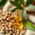 Właściwości olejku jojoba: naturalny emolient dla skóry i włosów